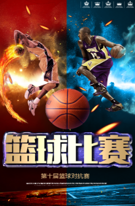 项目荣誉